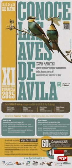 Cartel del Curso 