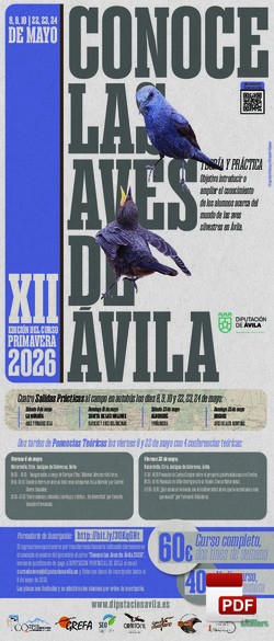 cartel-del-curso_xii-conoce-las-aves-de-avila-2026.jpg
