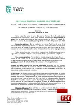 Programa del curso 