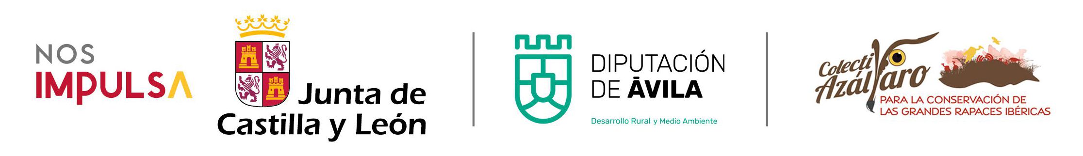 Patrocinadores patrocinadores