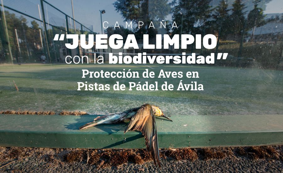Juega limpio con la biodiversidad portada campaña