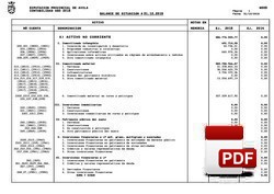 Balance de situación liquidación 2015