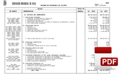 Balance de situación liquidación 2018