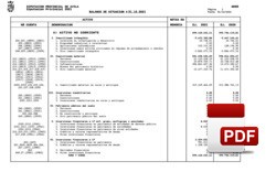 Balance de situación liquidación 2021