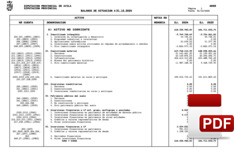 Balance de situación liquidación 2024