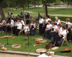 Asociación Musical Espigar