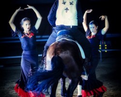 Espectáculo Ecuestre DP