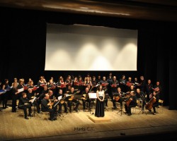 Orquesta de Plecto y Guitarra "Ávila Pulso y Púa"