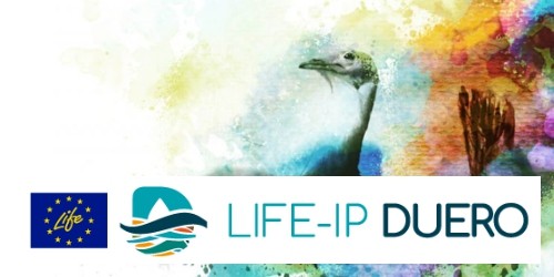 La Diputación de Ávila participa como socio en el proyecto LIFE, que coordina la Confederación Hidrográfica del Duero.