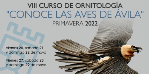 8ª Edición:
