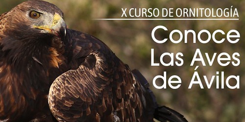 X Curso de ornitología: Conoce las Aves de Ávila