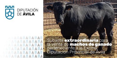 Subasta extraordinaria de ganado
