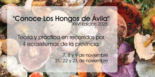 XXVI Edición del curso “Conoce los hongos de Ávila”