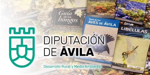 Libros de Desarrollo Rural