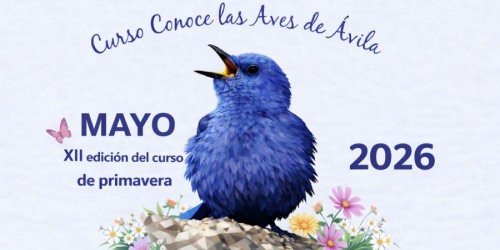 XII edici&oacute;n curso 