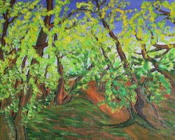 Exposición de pintura de Manuel F. Gochi