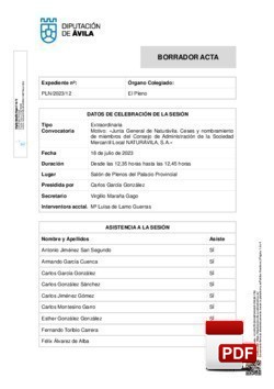 Pleno 12/2023 del martes, 18 de julio de 2023