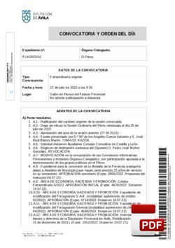 Orden del día, Pleno 10/2022 del lunes, 25 de julio de 2022