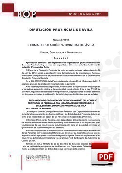 Reglamento organización y funcionamiento del Consejo Provincial de personas con capacidades diferente.