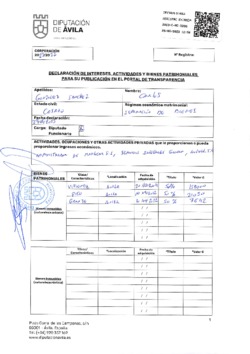 Declaración de intereses, actividades y bienes patrimoniales de Carlos González Sánchez