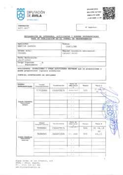Declaración de intereses, actividades y bienes patrimoniales de Carolina Martín Zapata