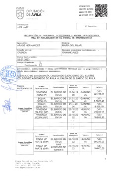 Declaración de intereses, actividades y bienes patrimoniales de María del Pilar Araoz Hernández