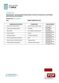 Servicios gestionados a través de concesionarios (1º Semestre 2019).