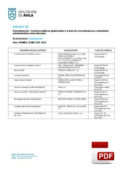 Servicios gestionados a través de concesionarios (1º Semestre 2024).