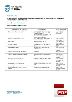Servicios gestionados a través de concesionarios (2º Semestre 2024).