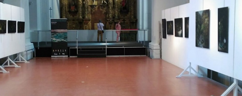 Las exposiciones itinerantes de la Diputación de Ávila llegan este mes a Arévalo, Santa María del Tiétar, Las Navas del Marqués y La Adrada