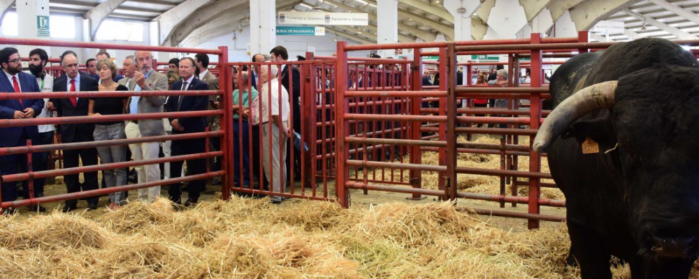 La Diputación de Ávila promociona su sector ganadero y agroalimentario en Salamaq'17