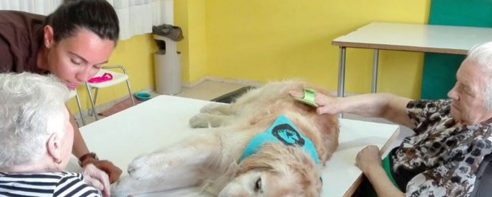 La Diputación de Ávila desarrolla un programa de terapia con animales que llega a una veintena de personas
