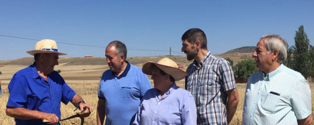 La Diputación de Ávila apoya la recuperación de tradiciones en la IX Jornada de Turismo de las gorras típicas de Solana de Rioalmar