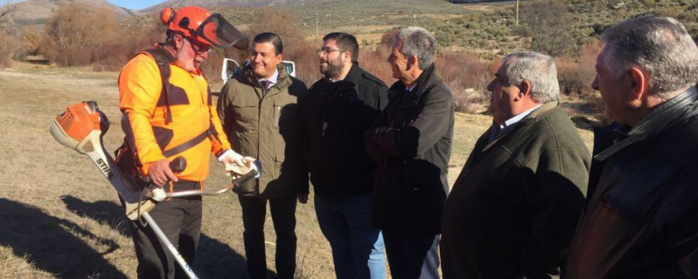 La Diputación de Ávila y la Junta de Castilla y León actúan en más de 200 municipios de la provincia con el Plan de Empleo Forestal