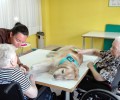 Foto de La Diputación de Ávila desarrolla un programa de terapia con animales que llega a una veintena de personas