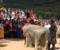 Foto de El presidente de la Diputación de Ávila reivindica los Toros de Guisando por su atractivo histórico y turístico