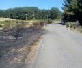 Foto de Abierto al tráfico el tramo de la AV-P-514 en el acceso a Hoyos de Miguel Muñoz