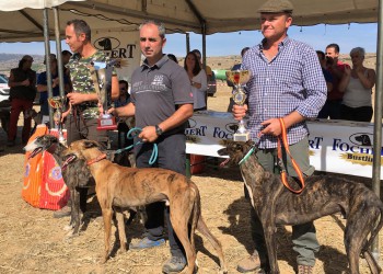 La Diputación respalda eventos deportivos como la Carrera de Regates del Club Nacional del Galgo Español celebrada en La Serrada (2º Fotografía)