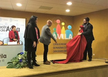 La Diputación de Ávila constituye el Consejo Provincial de Personas con Capacidades Diferentes (2º Fotografía)