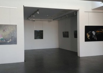 Las exposiciones itinerantes de la Diputación acercan a cuatro autores a El Barco de Ávila, Cebreros, Las Navas del Marqués y Piedralaves (3º Fotografía)