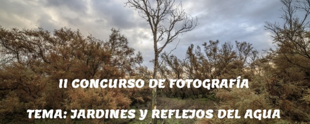 El Club de Lectura del Centro Asociado de la UNED en Ávila celebra el Día del Libro con concursos de microrrelatos y fotografía