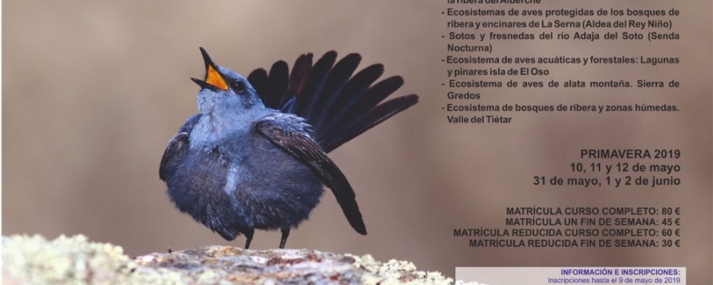 Abierto el plazo de inscripción para el curso 'Conoce las Aves de Ávila', que se celebrará los meses de mayo y junio