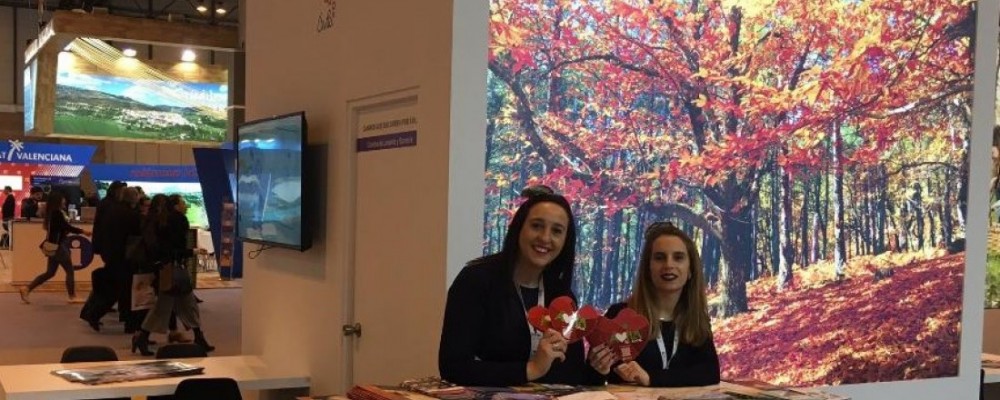 La Diputación de Ávila realiza un balance positivo de su paso por Fitur, donde ha mostrado su riqueza patrimonial a través de diferentes rutas