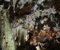 Foto de El geólogo David Domínguez pronuncia una conferencia sobre sus descubrimientos en las Cuevas del Águila