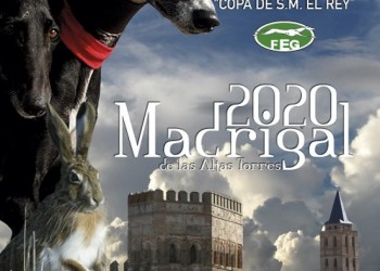 Séptima cita de Madrigal de las Altas Torres con el Campeonato de España de Galgos (3º Fotografía)