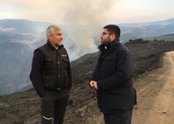El presidente de la Diputación de Ávila ofrece el apoyo de la institución a los municipios afectados por el incendio de Villafranca de la Sierra (2º Fotografía)