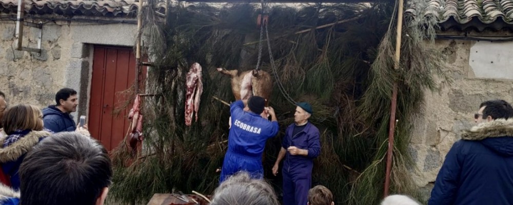 Navaluenga y Martiherrero reviven la matanza con el objetivo de que las nuevas generaciones no olviden esta tradición