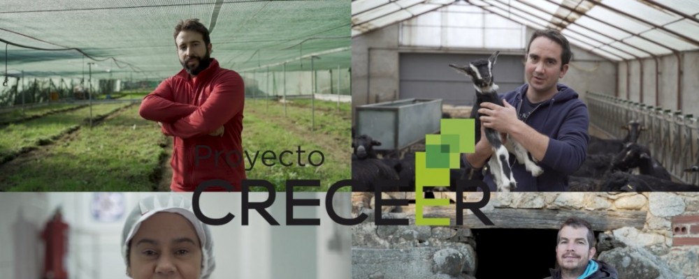 La Diputación divulgará nueve vídeos con la experiencia de las empresas abulenses del Proyecto CRECEER