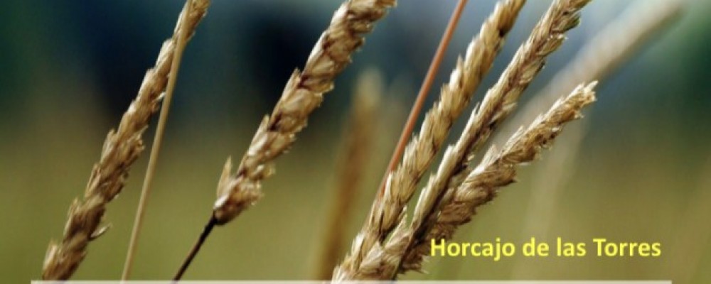 Las Jornadas de Agricultura Inteligente del programa Competic llegan a Horcajo de las Torres