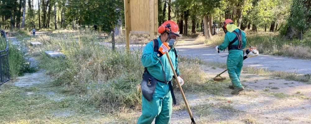 El presidente asiste en Arévalo a la primera jornada de trabajo del Porgrama Elmet